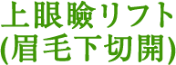 上眼瞼リフト(眉毛下切開)